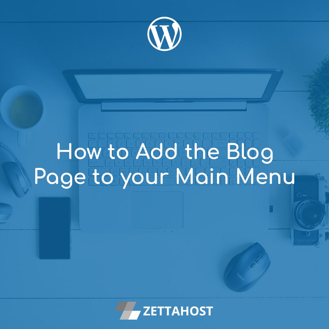 how-to-add-the-wordpress-blog-page-to-your-main-menu-zettahost