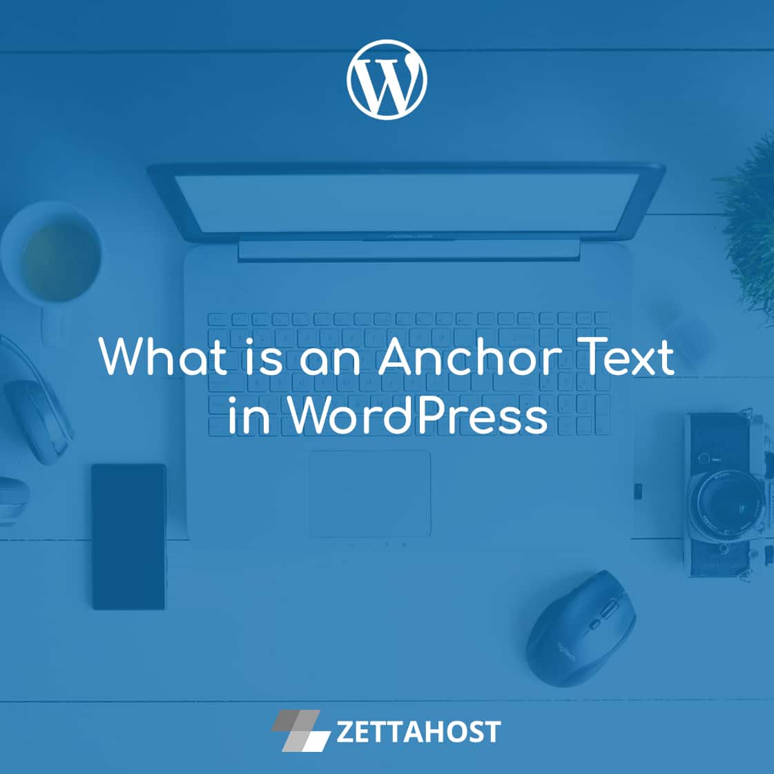 what-is-an-anchor-text-in-wordpress-free-hosting-zettahost