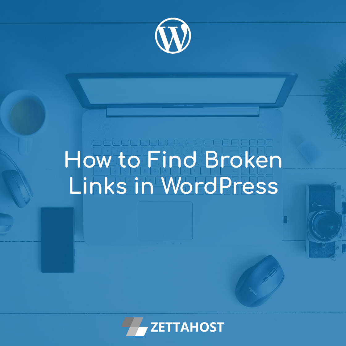 How To Find Broken Links In Wordpress